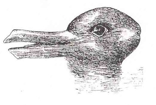 The duck-rabbit illusion: a single line drawing that reads as either a duck facing left or a rabbit facing right.